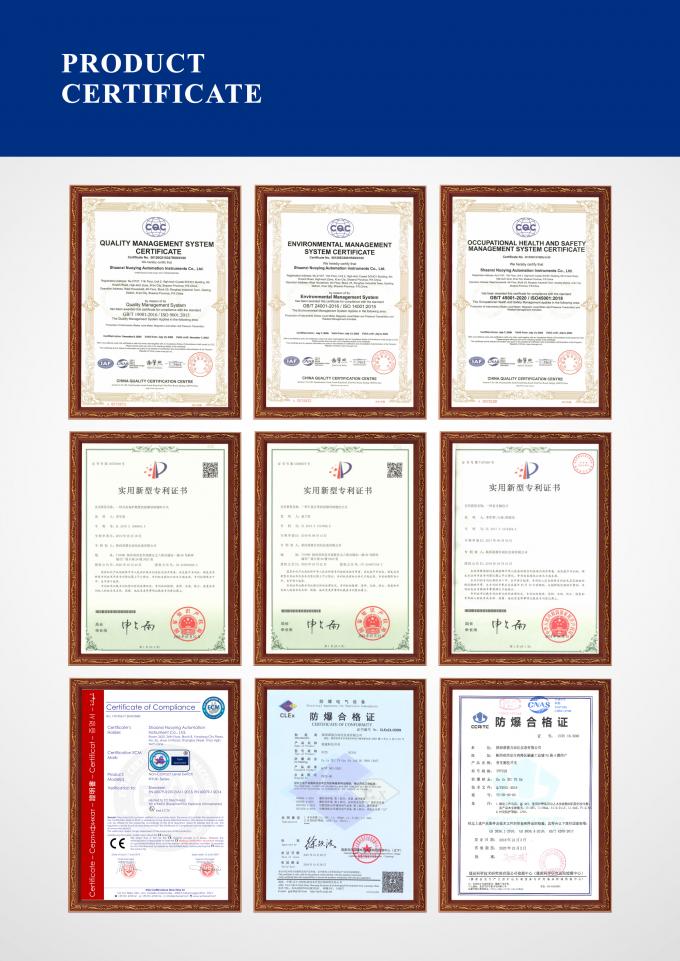 RF Capacitive Level Switch for liquid measurement High Temperature Slurry Corrosive Liquid 7