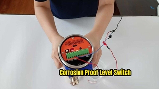 Hastelloy C Tuning Fork Level Switch for Harsh Chemicals